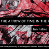 THE ARROW OF TIME IN THE HEART OF THE SUN | Ian Fabro